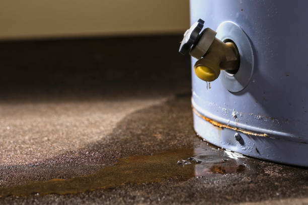 Best Flooded house restoration  in Grenelefe, FL
