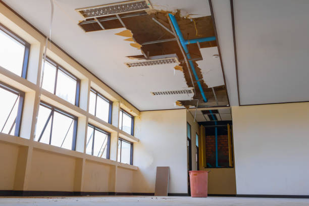 Best 24-hour water damage restoration  in Grenelefe, FL