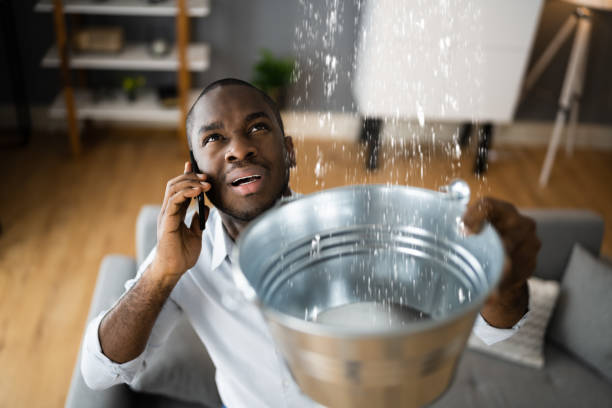 Best Professional water damage repair  in Grenelefe, FL