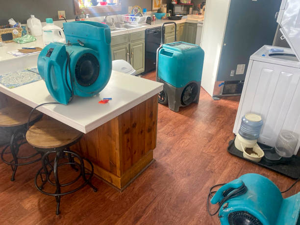 Best Mold removal after water damage  in Grenelefe, FL