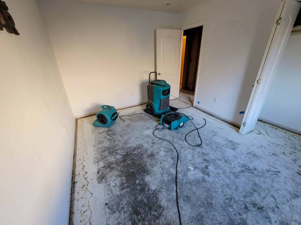 Best Residential water damage restoration  in Grenelefe, FL