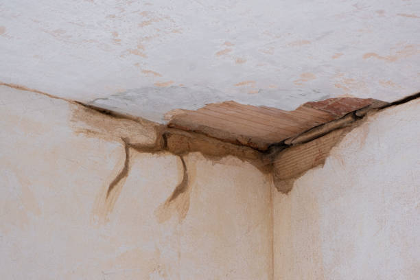 Best Commercial water damage restoration  in Grenelefe, FL