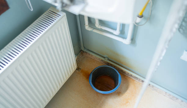  Grenelefe, FL Water damage restoration Pros