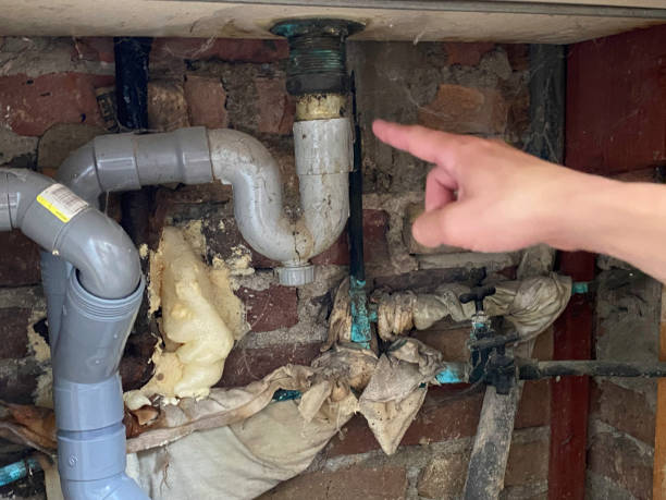 Best Mold removal after water damage  in Grenelefe, FL