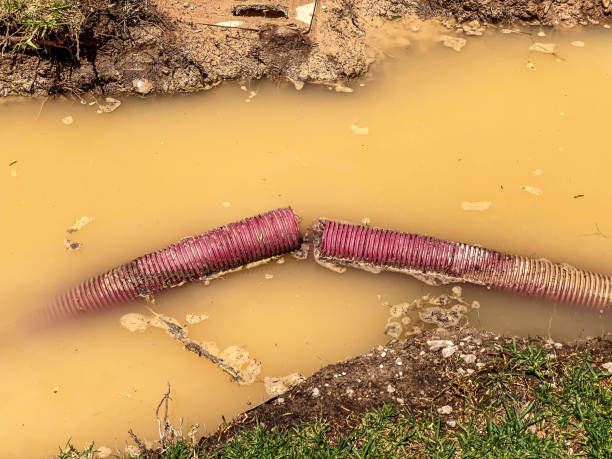 Best Sewage cleanup and water damage restoration  in Grenelefe, FL