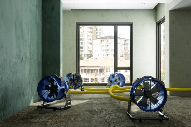 24/7 water damage repair in FL