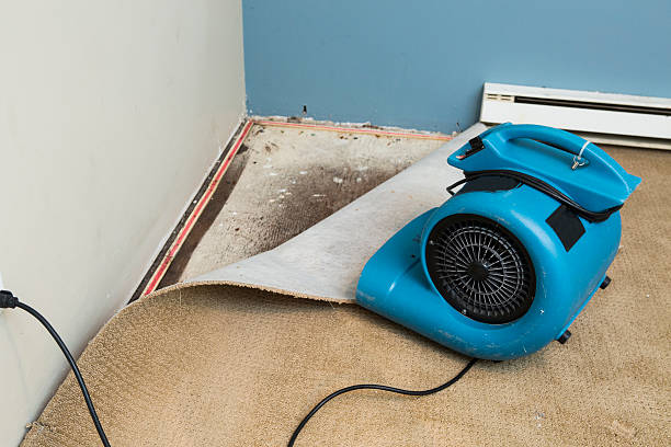  Grenelefe, FL Water damage restoration Pros